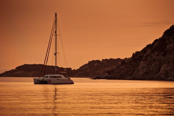 boat trips
